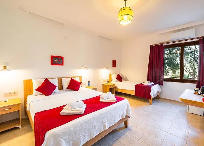 Yesil Vadi 酒店 卡斯